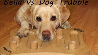 Bella vs Dog Trubble by Lab&bc 533 views 10 years ago 1 minute, 21 seconds
