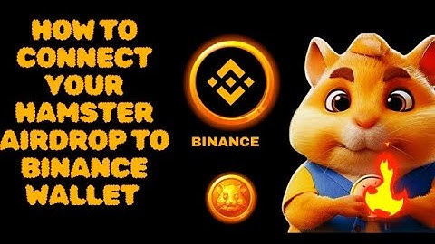 How To Connect Your Binance Wallet On Hamster Airdrop Successfully