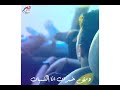 حالات واتس انا مبسوط من الفرقه حوده بندق
