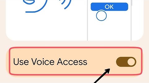 How to turn off voice access google pixel 7 pro, off voice access