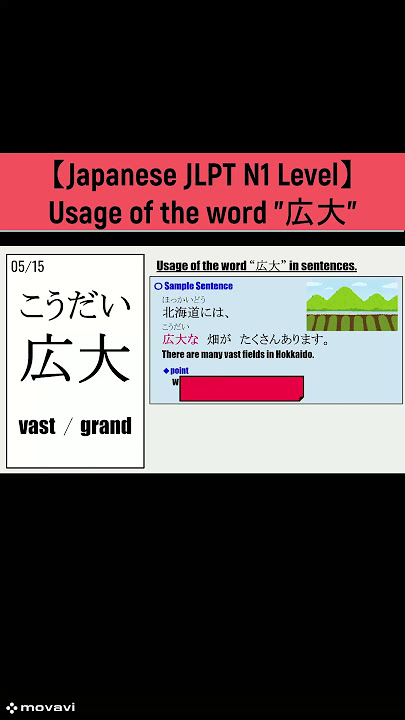 【Japanese】Usage of the word '広大' #jlpt