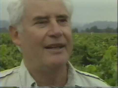 The Video Wine Guide still