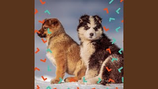 Spirited Music for Echo