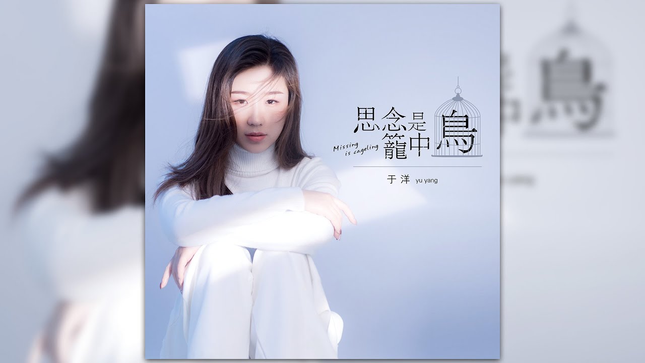 于洋 - 思念是笼中鸟（歌词Lyrics） - YouTube