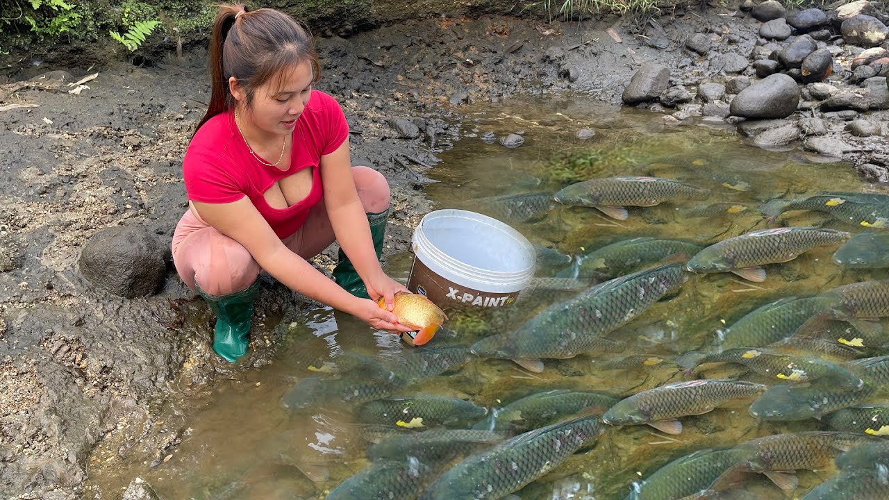 Girl Fishing, Fishing In Cold Winter. Harvesting Many Natural Fish. Amazing Fishing