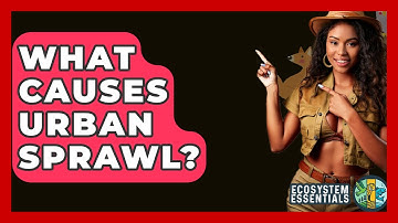 What Causes Urban Sprawl? - Ecosystem Essentials