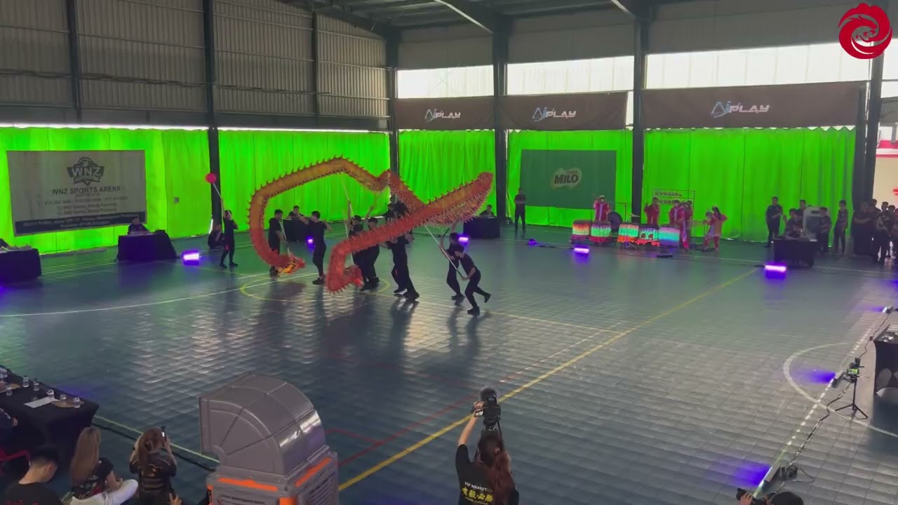 AIplay首届全国夜光龙争霸赛 — 10. 马来西亚新山福州十邑会馆龙狮队