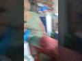 funny moments with my mummy 😂😂😂 #ankitpandey #ankitpandeylifevlogs