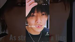 Stray Kids Everything At Once Edit