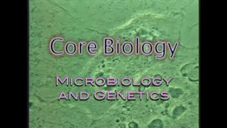 Core Biology: Microbiology and Genetics (Accessible Preview)