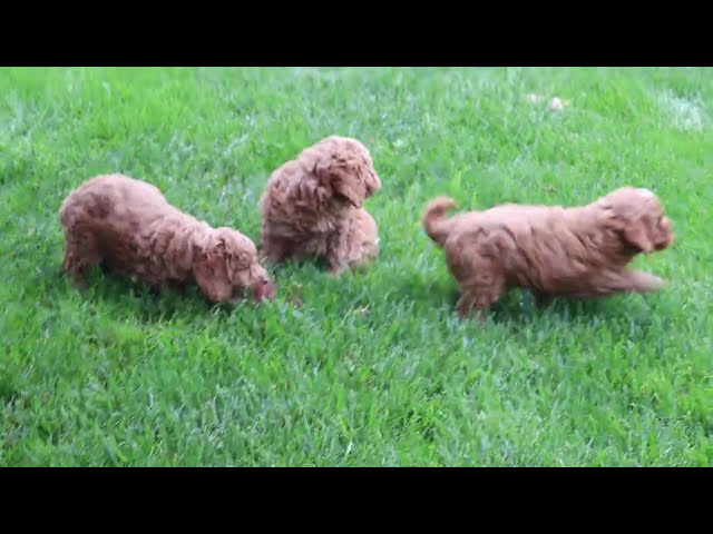 Macy video thumbnail