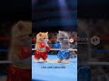 kittens boxing #kitten #funny #cute