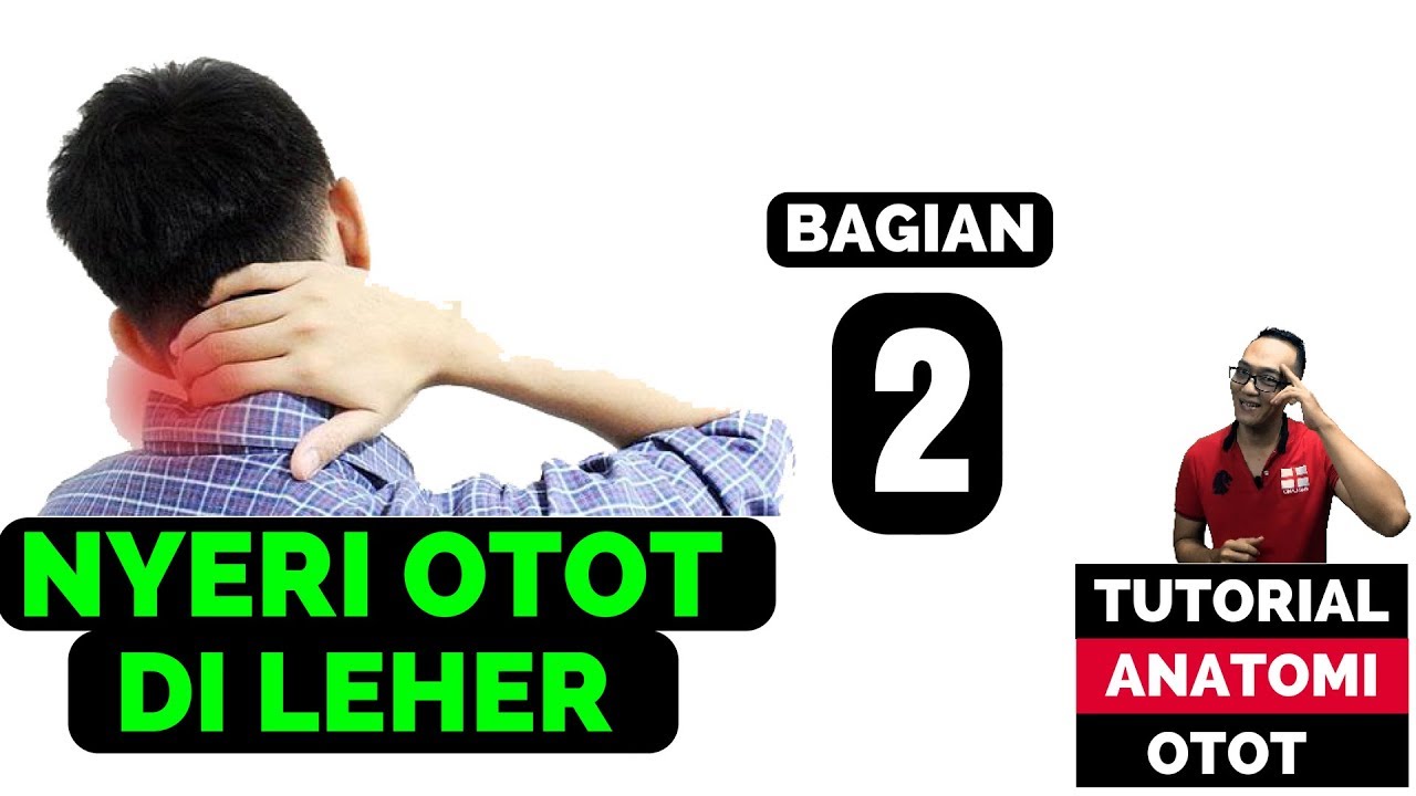 otot leher tegang dan kaku ( Bagian 2) 