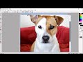How to edit a photo and then digitize it in Photo Stitch with PE Design.