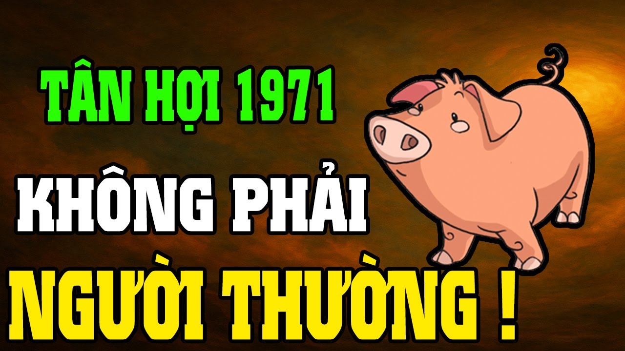 Tân Hợi 1971–Cuộc Đời Khổ Vì Có Căn Trả Nghiệp, Nhưng Hậu Vận Là Đại Phúc Nếu Hiểu Được 7 Điều Này
