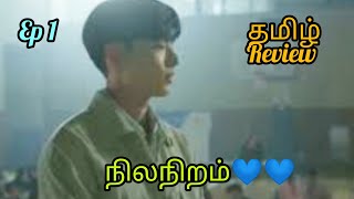 Blueming???|| k bl drama || tamil explanation || tamil dubbed || tamil review || tamil explained