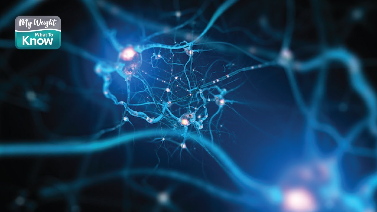 My Weight Live: How Hormones Impact Weight