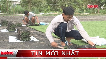 ⚡ Tin mới nhất | Giá cỏ nhung tăng gấp đôi sau thời gian rớt giá thê thảm