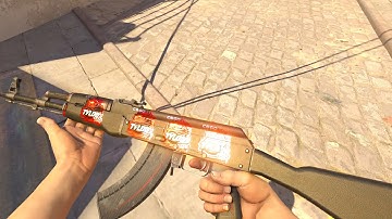 CS2 Updated TYLOO RMR Foil Sticker