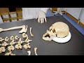 Ritualistic Burials and Excavation Findings
