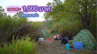 เหมาสระ 1,000 บาท สระเล็กๆกลางป่า ใครจะคิดว่าปลาจะเยอะขนาดนี้ / บ้านนอก EP.583