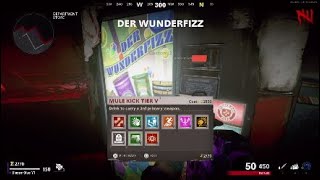 The Tier 5 Death Perception Experience (Cold War Zombies)