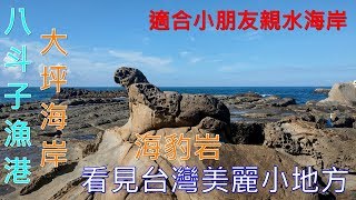 4K親水大坪海岸海豹岩看見台灣美麗小地方(Beautiful Taiwan)