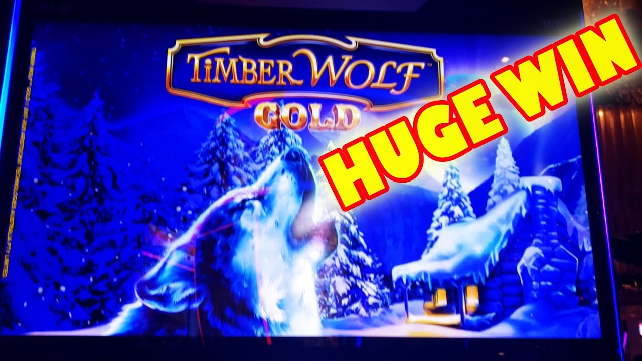 HUGE WIN! YES I SAID HUGE WIN!!! -- Epic New Slot Machine Video