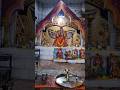 तेरे दरबार में मैया ख़ुशी मिलति है | Jai Durga Maiya🐅🐯| Bhakti Videos #shorts #durgamata #bhaktishort