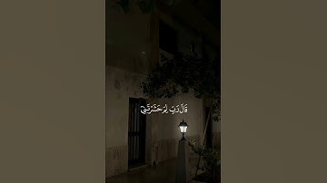 تلاوة ماتيسر من آيات سورة طه بصوت القارئ#مشاري_العفاسي #اكسبلور #تلاوة_خاشعة #اجر #راحة #هدوء #تلاوة