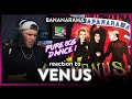 Bananarama Reaction Venus (TAKE ME BACK!) | Dereck Reacts