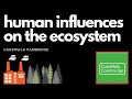 IGCSE Biology 21 - Human Influences on Ecosystems | CakeWalk Cambridge