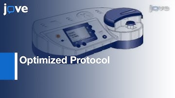 Efficient Transfection-Dendritic Cells Without Cell Maturation l Protocol Preview