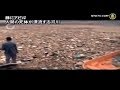 豚にアヒル 人間の死体が漂流する河川 | ニュース | 新唐人|時事報道 | 海外 | 環境汚染| 中国 中国