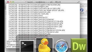 Web Server Setup 2 - Loading a CMS