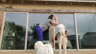 Yoga Flow Doggie Style screenshot 4