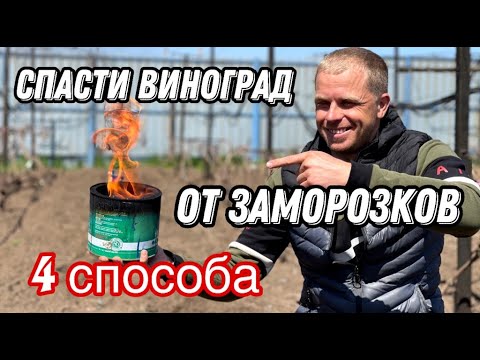 Спасение Виноградника от заморозков!!! Просто и дёшево - 4 способа.