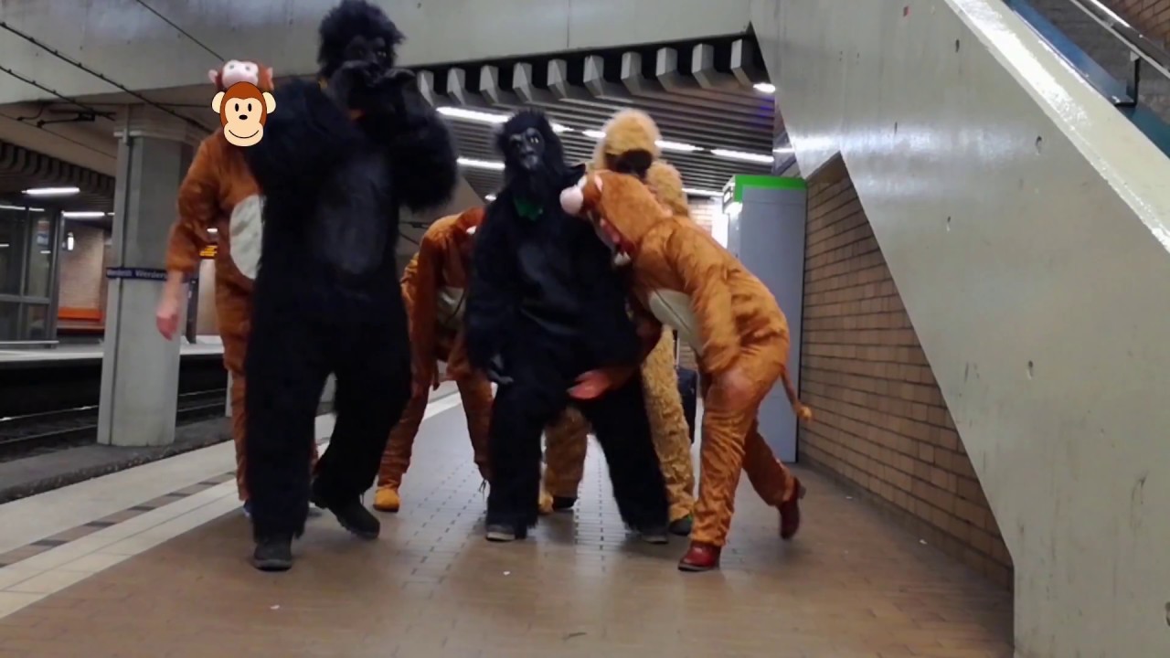 Da Hook - Apes (Official Video)