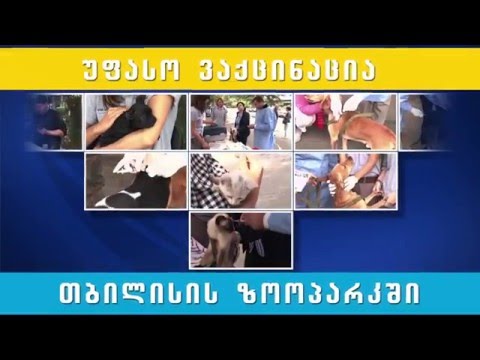 ვეტერინარიის დღე/World Veterinary Day