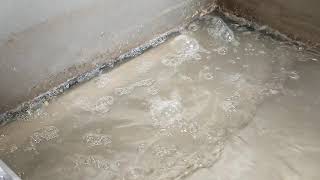 Dewatering DAF Sludge Western Ohio