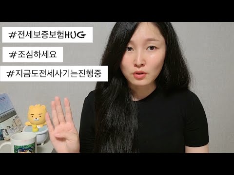 New 지금도 전세사기는 진행중입니다(조심하세요/hug의실태)