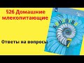 Биология 7 класс. §26 Домашние млекопитающие