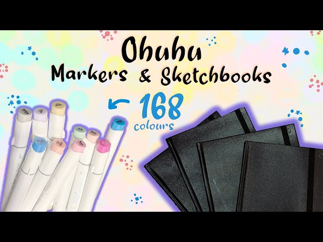 Ohuhu 168 Colors Dual Tips Alcohol Art Markers, Brush & Chisel