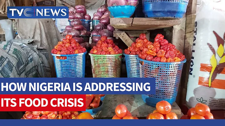 WATCH: Assessment on How Nigeria is Addressing its Food Insecurity Crisis