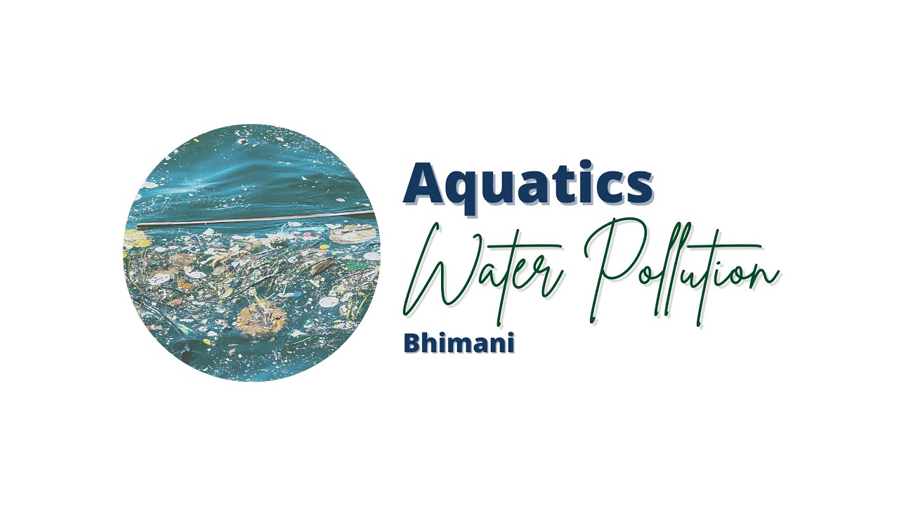 Aquatics Water Pollution YouTube
