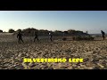 SILVESTRISMO LEPE “las Arenas 2017 “- Lepe- Huelva