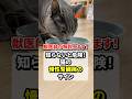 知らないと危険！猫の慢性腎臓病サイン