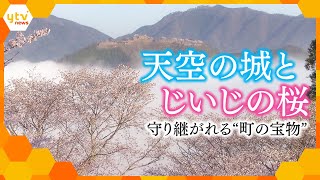 「天空の城とじいじの桜」～守り継がれる‟町の宝物”～