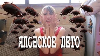 Ужасы японского лета