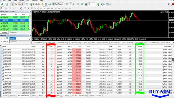 Best Expert Advisor For MT4 " Sphinx EG V2 "▐ $2000 TO $159,000 IN 6 MONTHS▐ [live]